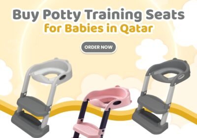 Potty-Training-Seat-1