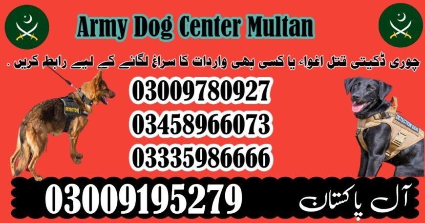 Army Dog Center Shorkot 03458966073