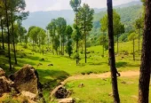 Prime Residential Land Available in Murree Green Valley