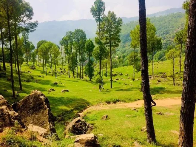 Prime Residential Land Available in Murree Green Valley