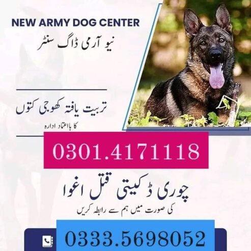 Army Dog Center Attock 03335698052