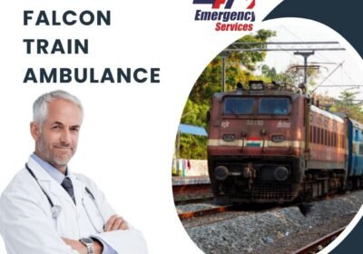 For-Your-Risk-Free-Medical-Transfer-You-Must-Choose-to-Travel-via-Falcon-Train-Ambulance-in-Patna-02-1