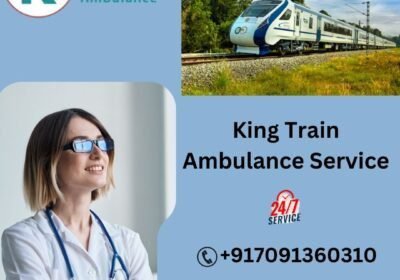 King-Train-Ambulance-Service-4-2