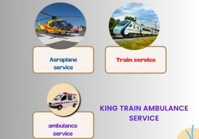 King-Train-Ambulance-Service-4