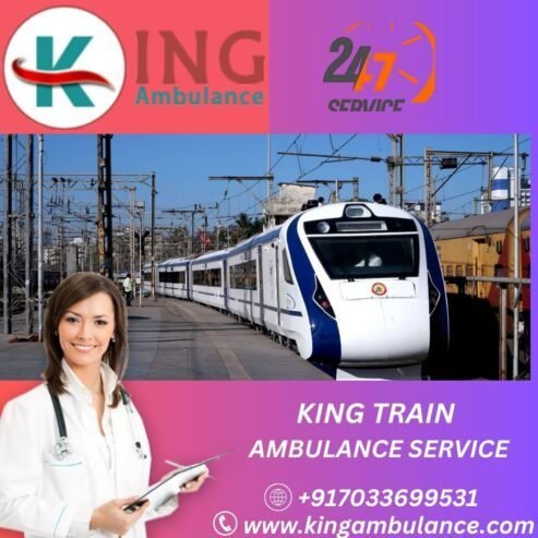 King Train Ambulance Services in Patna manage all the Relocation Proce