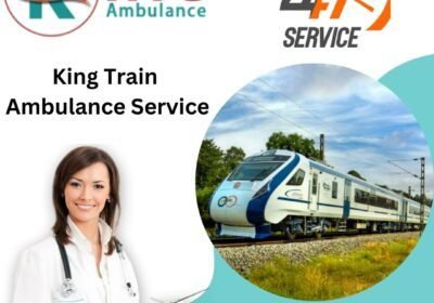 King-Train-Ambulance-Service-9-1