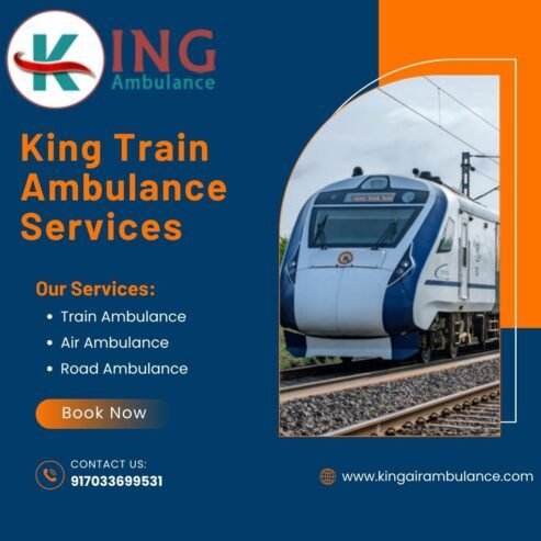 King Train Ambulance Service in Bangalore