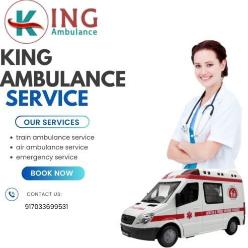 Utilize King Train Ambulance Patient Transfer Services in Delhi at a R