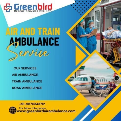 Greenbird Air and Train Ambulance Service in Delhi