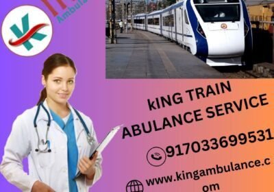 KING-TRAIN-ABULANCE-SERVICE-11