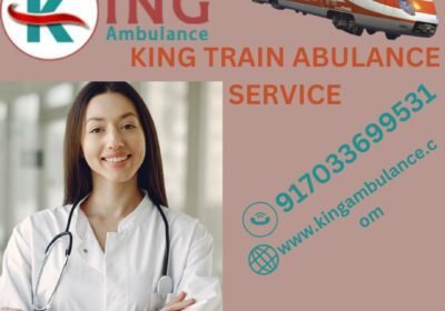 KING-TRAIN-ABULANCE-SERVICE-12