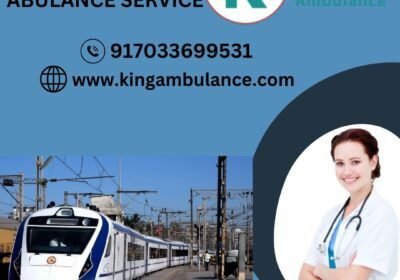 KING-TRAIN-ABULANCE-SERVICE-13