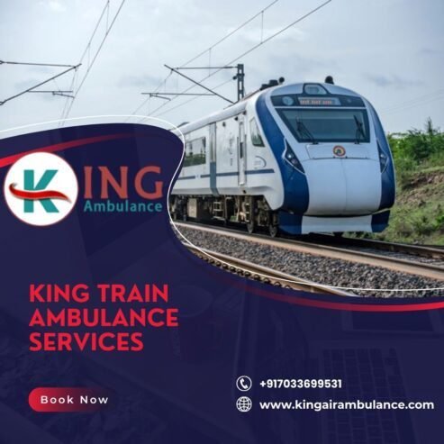 Call King Train Ambulance Service in Patna for any health issue