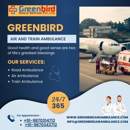 Greenbird Air and Train Ambulance Service in Rewa Provide you Best