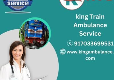 king-Train-Ambulance-Service-1-1