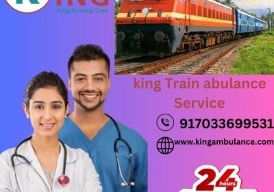 king-Train-abulance-Service-6-1