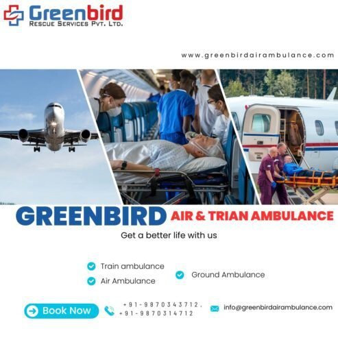 The greenbird Air and Train ambulance Service is best in vodadara