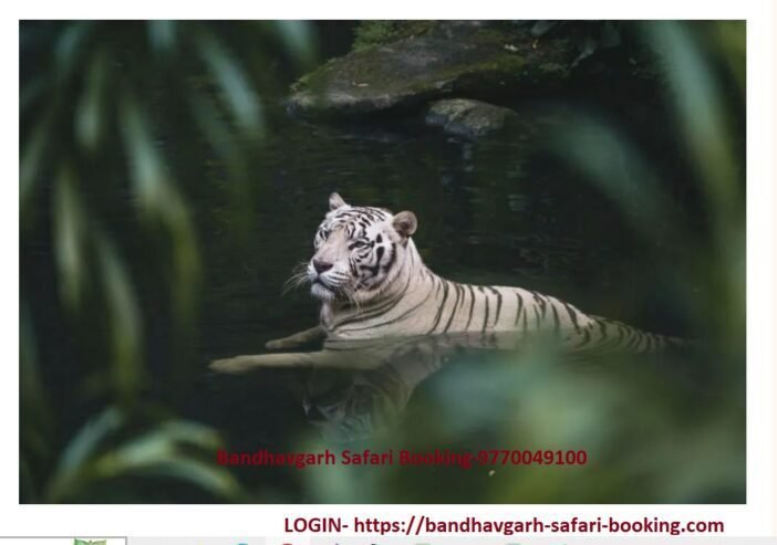 Bandhavgarh Safari Booking