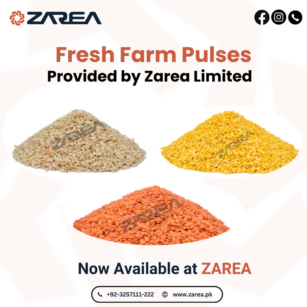 Premium Pulses Available at Zarea Limited