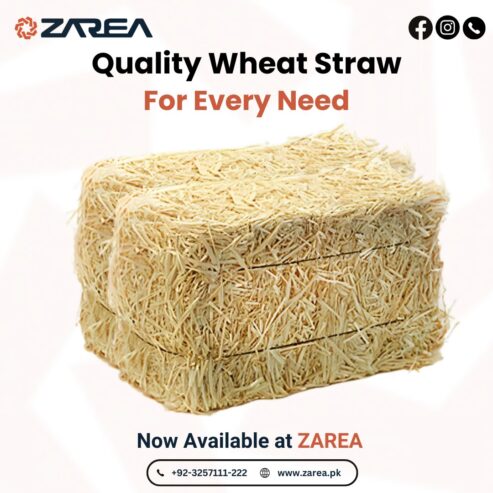 Wheat Straw Now Available | Zarea Limited