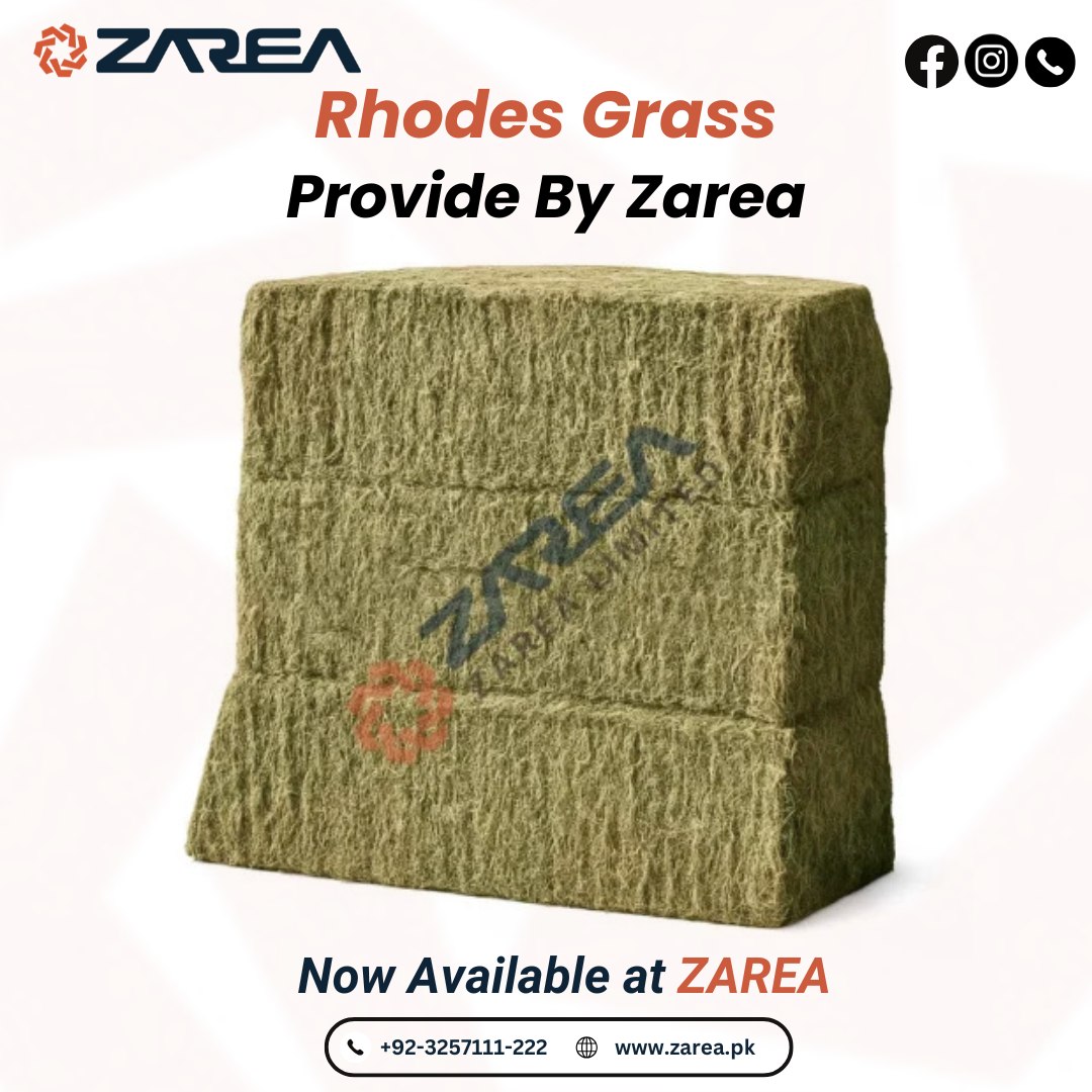 Rhodes Grass Now Available at Zarea Limited