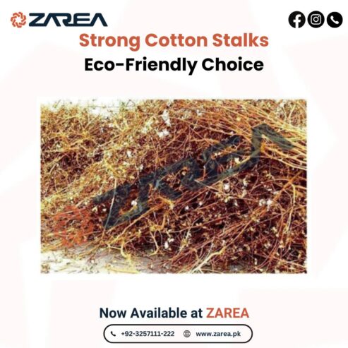 Cotton Stalks Available at Zarea