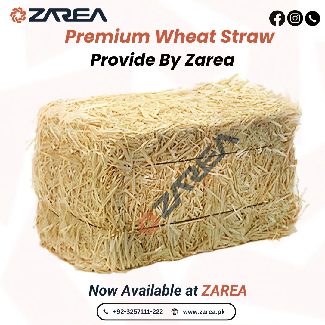 Wheat Straw Available at Zarea |