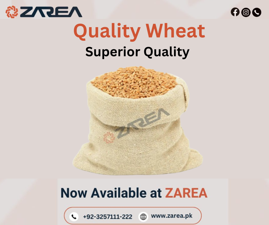 Wheat Available at Zarea Limited