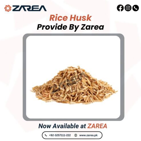 Rice Husk | Zarea Limited
