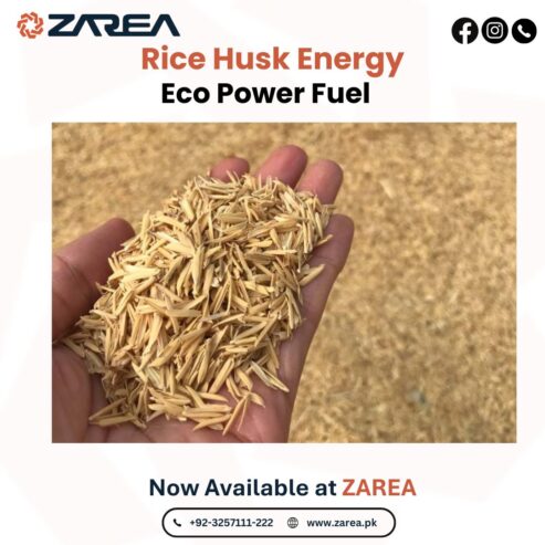 Buy Rice Husk Online at Zarea Limited