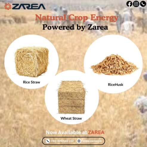 Agri Biomass Options at Zarea Limited