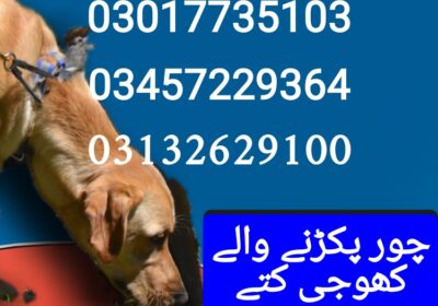 1750648709668