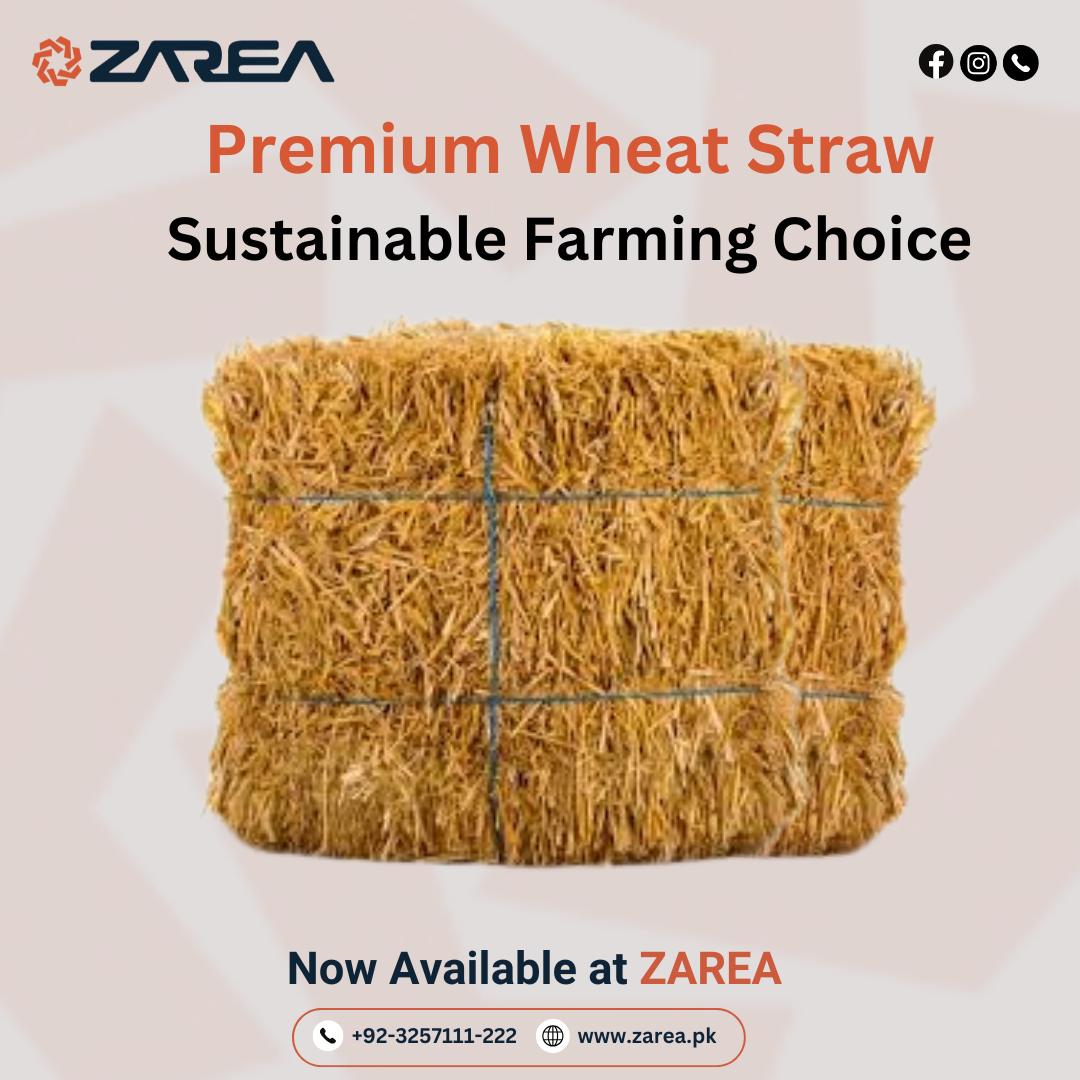 Wheat Straw | ZAREA LIMITED |