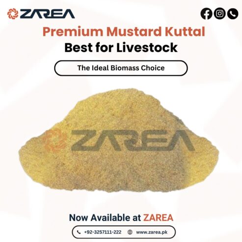 Mustard Kuttal | ZAREA LIMITED