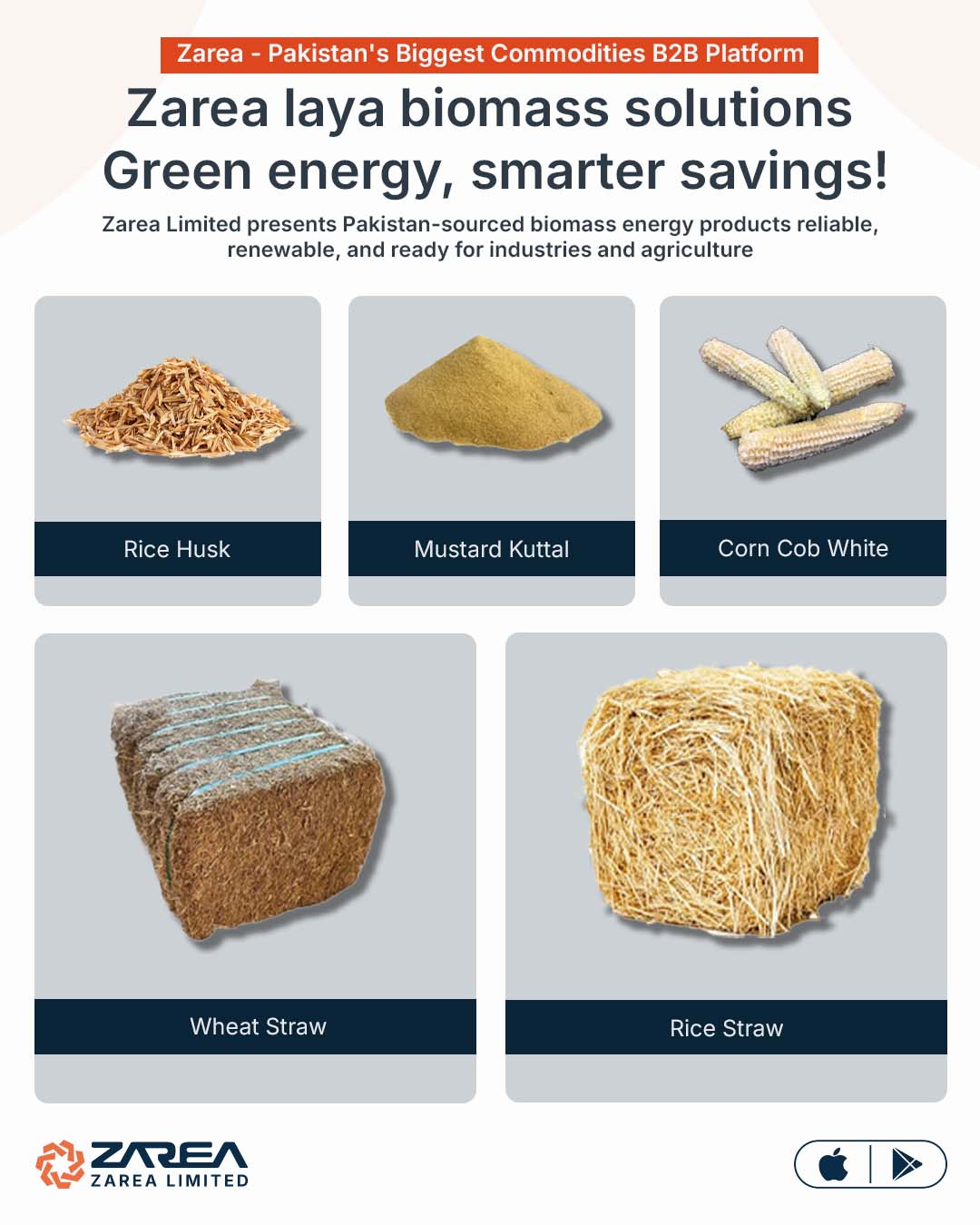 Agriculture Biomass Option at Zarea Limited