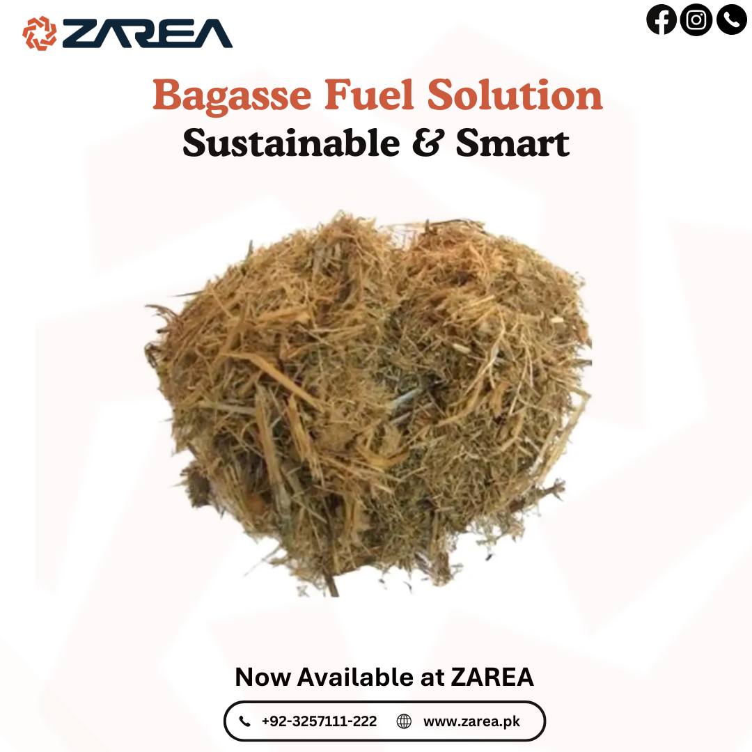 Bagasse | Zarea Limited