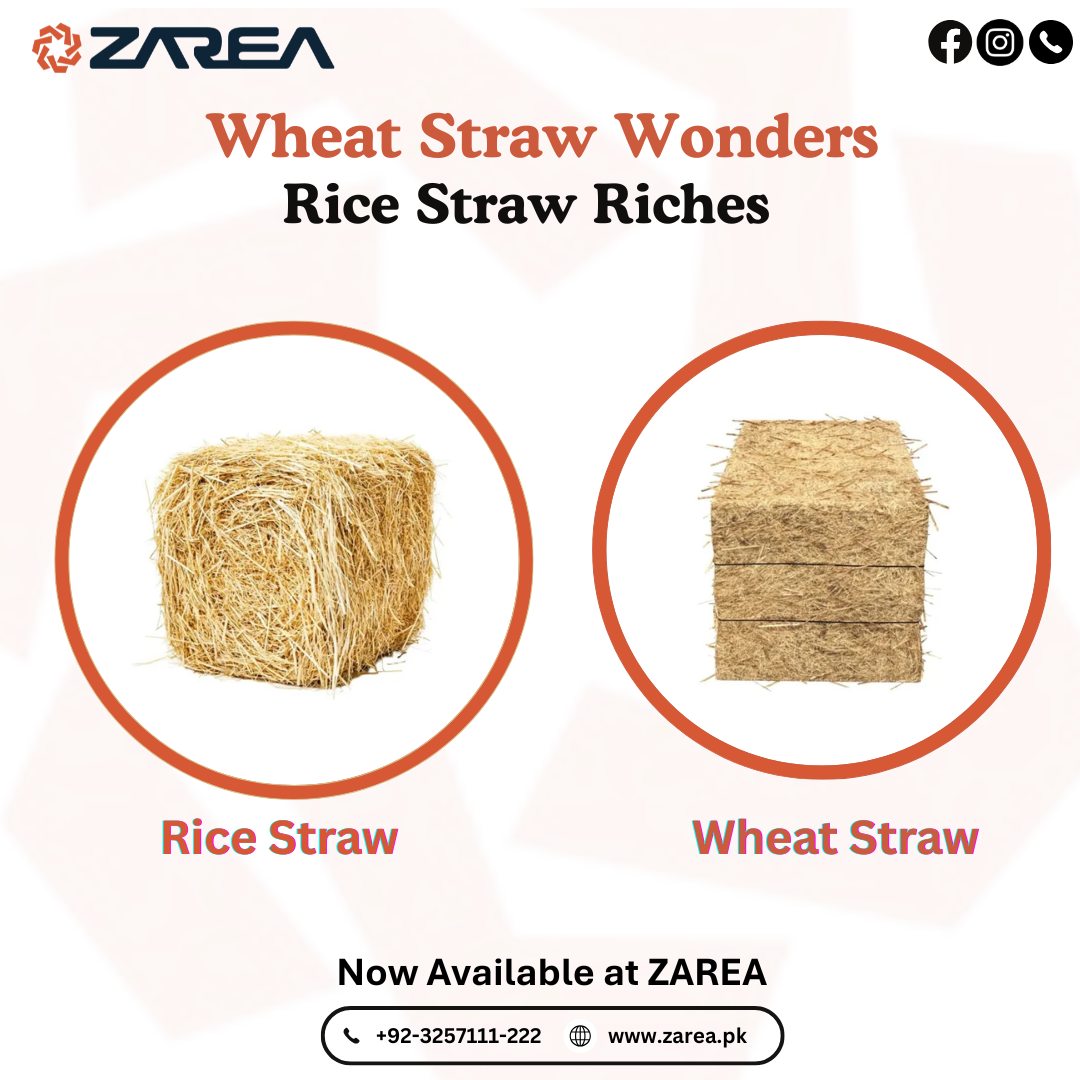 Zarea – Premium Rice Straw & Wheat Straw