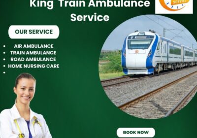 King-Train-Ambulance-Service-8