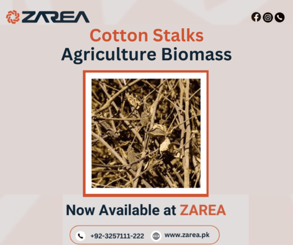 Cotton Stalks | ZAREA LIMITED