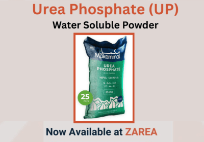 urea-