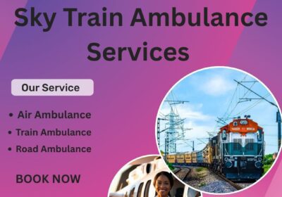 www.skyairambulance.in-5