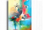 Bestselling Urdu Novels Bundle – Popular Fiction Collection