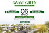 Awami Green By Blue World City 4 & 6 Marla plots available on easy ins