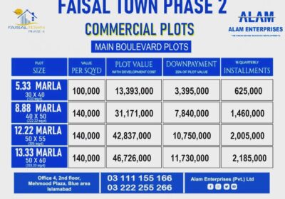 Faisal-Town-4