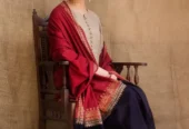 3 Pcs woman’s Unstitched dhanak Embroidered suits