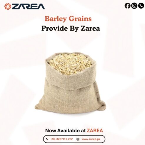 Barley | ZAREA