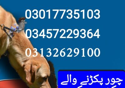 1750663965001