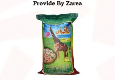 574588352_122199132938050120_6934261398917204891_n