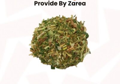 582818877_122200677152050120_6835216979413757730_n