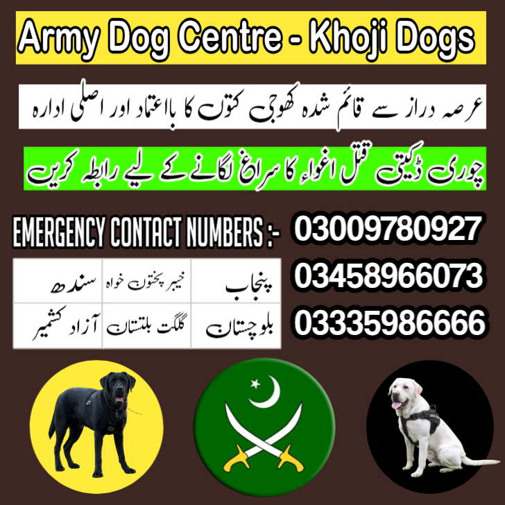 Army Dog Center 03009195279 | Call Now | Khoji Dogs